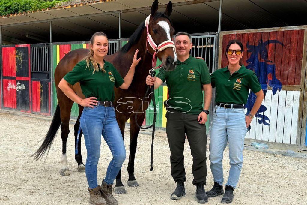 Quintana 2026, cavalli Idonei e prove al campo dei giochi